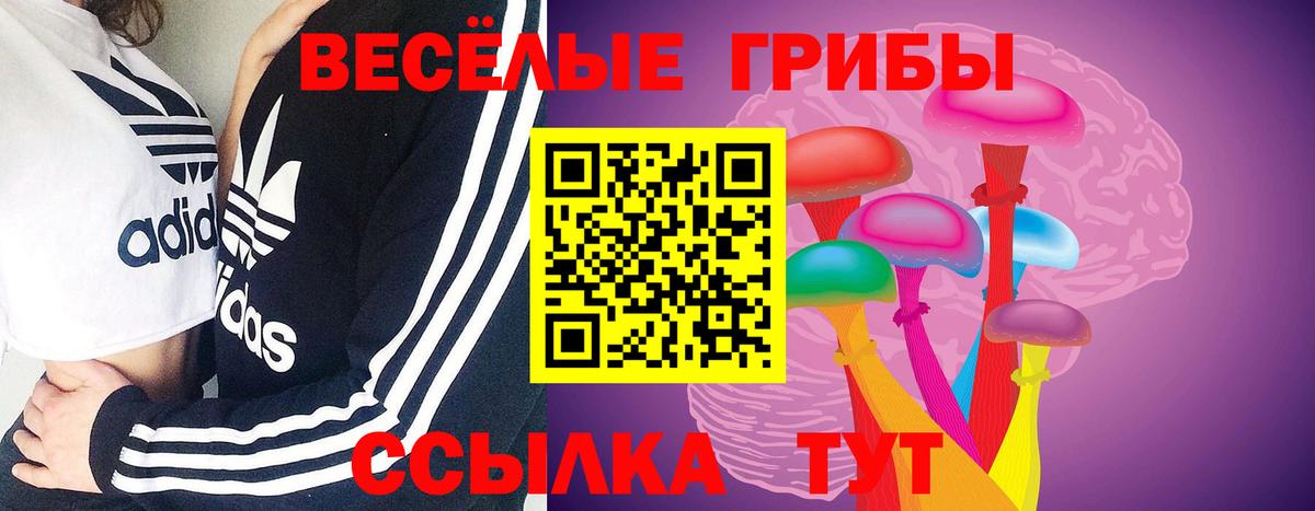 Галлюциногенные грибы ЛСД Вятские Поляны